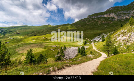 Strada per il picco del Seceda attraverso la valle verde presso il fantastico Val Val Gardena nelle Dolomiti, le Alpi, Italia. Foto Stock