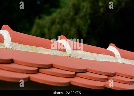 Close-up di piana rossa argilla tegole del tetto, che sono coperti da un colmo del tetto Foto Stock