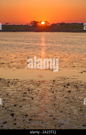 Tramonto sulla piscina dell'East River, St. Marks National Wildlife Refuge, Florida, USA Foto Stock