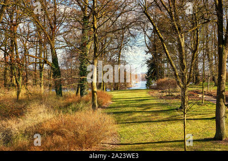 Autunno foresta con una vista del lago pigro a Schwerin. Foto Stock