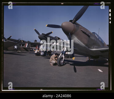 P-51 (Mustang) aerei da combattimento in fase di preparazione per la prova di volo presso il campo di North American Aviation, Inc., impianti a Inglewood, California Foto Stock