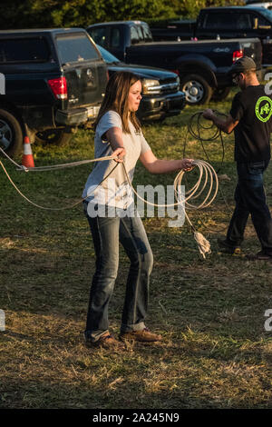 Country fair calf roping contest. Foto Stock