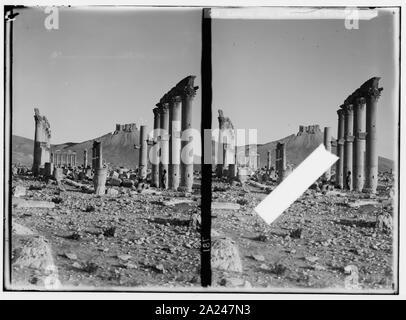 Palmyra (Tadmor). Guardando lungo porticato al castello turco Foto Stock