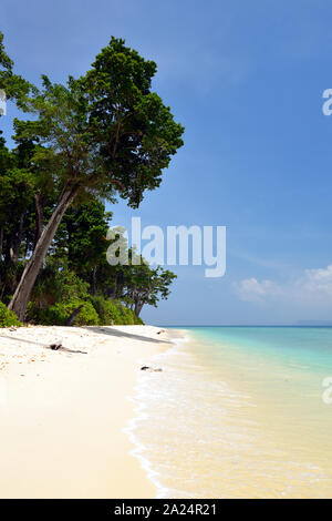 Lakshmanpur spiaggia a Neil isola delle Isole Andamane e Nicobare, India Foto Stock
