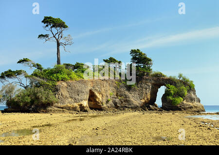 Il ponte naturale a Neil isola delle Isole Andamane e Nicobare, India Foto Stock