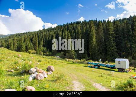 Il miele delle api arnie in alta montagna sulla natura. Puro miele di montagna. Casa di api. Foto Stock