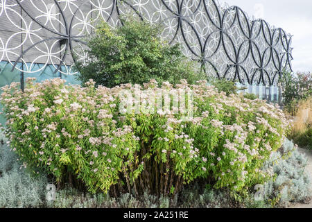 Il giardino segreto,a,i,settimo,pavimento,d,la Biblioteca di Birmingham,Centenary Square,Birmingham,West Midlands,Midlands,l'Inghilterra,UK,GB,Gran Bretagna,l'Europa Foto Stock