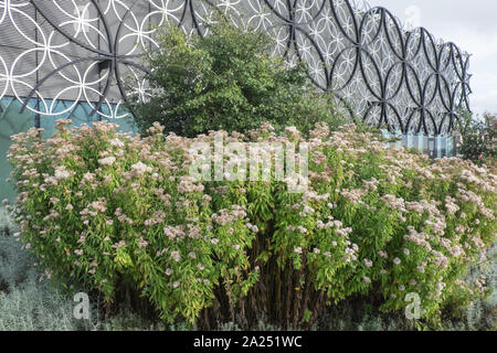 Il giardino segreto,a,i,settimo,pavimento,d,la Biblioteca di Birmingham,Centenary Square,Birmingham,West Midlands,Midlands,l'Inghilterra,UK,GB,Gran Bretagna,l'Europa Foto Stock