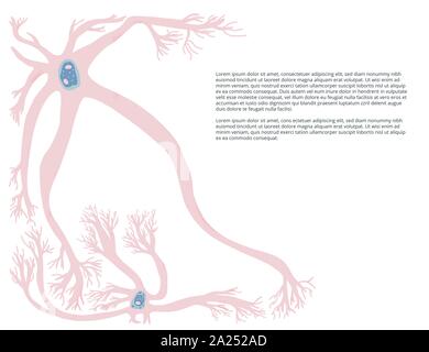 Cellule di neuroni con lunghi assoni. Vector illustartion. Illustrazione Vettoriale