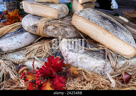 Vista ravvicinata di semi-formaggio duro avvolto in paglia in stallo al mercato in Italia. Foto Stock