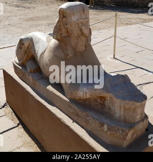 Sphinx al Tempio di Karnak, complesso di Luxor in Egitto. La costruzione del complesso ha iniziato durante il regno di Senusret I nel Regno di Mezzo e continuato nel periodo tolemaico, sebbene la maggior parte degli edifici esistenti data dal Nuovo Regno. La zona intorno a Karnak è stata il principale luogo di culto della XVIII dinastia Theban Triad con il dio Amon come la sua testa. Essa è parte della città monumentale di Tebe. Foto Stock