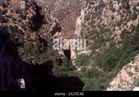 Il Grand Canyon è un pendii ripidi canyon scavato dal fiume Colorado in Arizona, Stati Uniti. Il Grand Canyon è di 277 miglia (446 km) lungo, fino a 18 miglia (29 km) ampia e raggiunge una profondità di oltre un miglio (6,093 piedi o 1,857 metri) Foto Stock