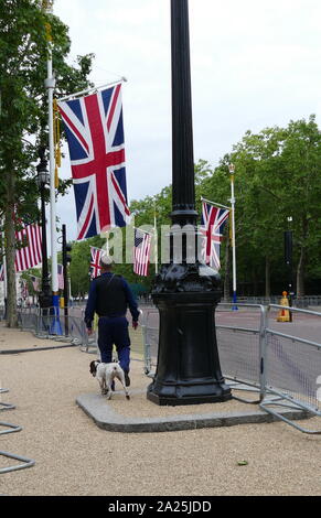 The Mall in rotta verso Buckingham Palace di Londra, fissato dalla polizia con sniffer cane, durante la visita di Stato del presidente Donald Trump Giugno 2019 Foto Stock