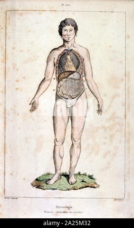 Illustrazione anatomica da F. E. Guérin. Da Dictionnaire pittoresco d'histoire Naturelle et des phénomènes de la nature - 1833/1834 Foto Stock