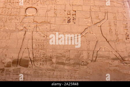 Primo pilone del tempio di Ramses II a Medinet Habu, Egitto. Il tempio mortuario di Ramesse III a Medinet Habu è stata un importante nuovo periodo del regno di struttura del tempio nella West Bank di Luxor in Egitto. Il tempio ha inscritto rilievi raffiguranti l'avvento e la sconfitta dei popoli del mare durante il regno di Ramesse III Scavo iniziale del tempio ha avuto luogo solo sporadicamente tra 1859 e 1899 Foto Stock