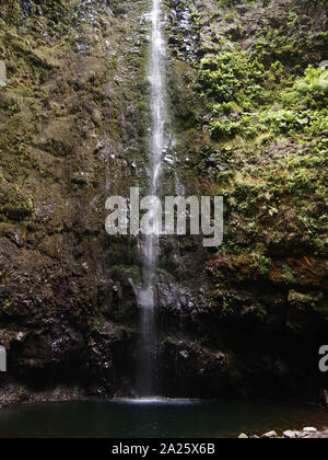 La cascata nel mezzo delle foreste di alloro in Isola di Madeira, Portogallo Foto Stock