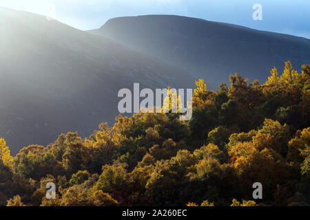 Braemar; Dee Valley View; Scozia - UK Foto Stock