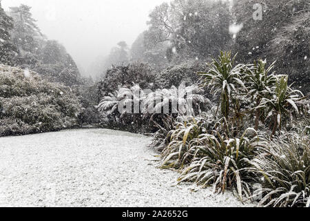 Giardino Trebah; neve; Cornovaglia; Regno Unito Foto Stock