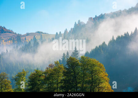 Meraviglioso autunno meteo in montagna. lontane colline boscose nella nebbia nebuloso. mattina di sole nei Carpazi. bellissimo paesaggio naturale Foto Stock