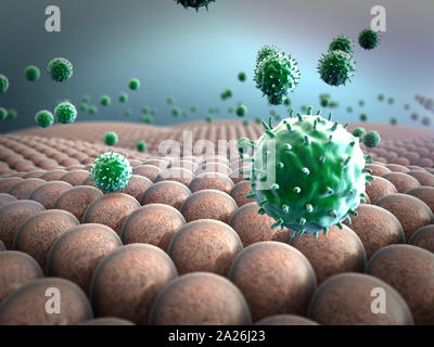 I virus attaccano le cellule, azione del sistema immunitario umano, cellule e leucociti, campo delle celle Foto Stock
