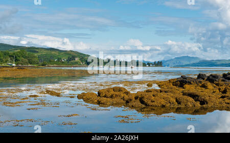 Costa al Salen. Isle of Mull, Scozia Foto Stock