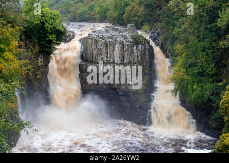 Forza elevata, Teesdale, County Durham, Regno Unito. 1 Ott 2019. Regno Unito Meteo. Inondazione di tuoni oltre a forza elevata dopo forti piogge causato livelli d'acqua del Fiume Tees in Inghilterra del Nord Est a salire in maniera spettacolare. Credito: David Forster/Alamy Live News Foto Stock