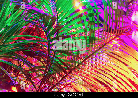 Tropical palma naturale rami close-up, quartiere alla moda di colori al neon. Consistenza naturale, giungla esotica, sfondo astratto Foto Stock