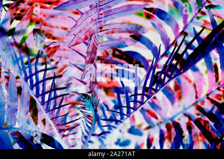 Abstract rami tropicale di palm close-up in neon di colori di moda, consistenza naturale. Moderno esotico sfondo luminoso Foto Stock