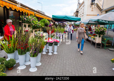 Il mercato dei fiori, Centraltirgus, mercato centrale, Riga, Lettonia Foto Stock