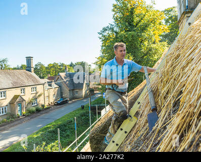 Un maestro Thatcher lavorando sul tetto di un villaggio cottage di riparazione e rinnovando la paglia e la sostituzione del crinale Foto Stock