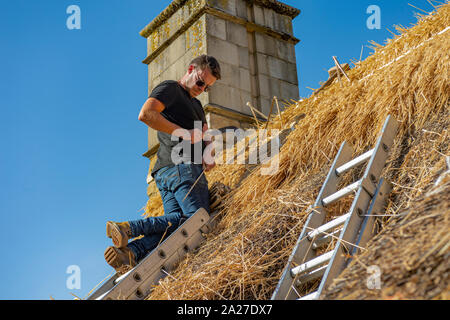 La Thatcher lavorando sul tetto di un villaggio cottage di riparazione e rinnovando la paglia e la sostituzione del crinale Foto Stock