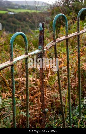 Rusty verde ferro battuto recinzione Foto Stock