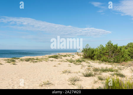 Cap Ferret (Baia di Arcachon, Francia), la punta della penisola di fronte alla duna di Pilat Foto Stock