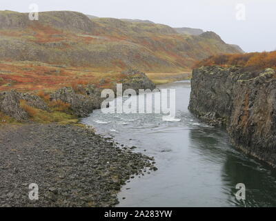 Vegetazione autunnale vestiti il paesaggio vulcanico come un fiume si snoda attraverso un campo di lava: Gonguleidir, West Islanda Foto Stock