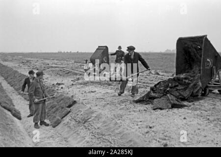 Kanalbau im Emsland, 1945 -1949. La costruzione del canale nella regione di Ems, 1945-1949. Foto Stock