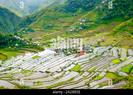 Batad Village e il Patrimonio Mondiale UNESCO terrazze di riso in primavera stagione di semina, Banaue, Provincia di montagna, Cordillera Regione amministrativa, Ph Foto Stock