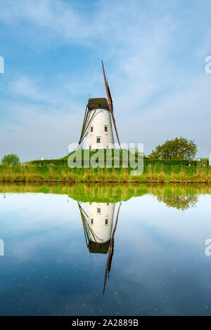 Il mulino a vento si riflette nel canal, Damme, Fiandre Occidentali, Belgio Foto Stock