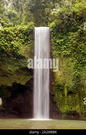 Vista della cascata e verdastra paesaggio forestale, Foresta Pluviale di Bali Foto Stock