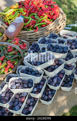 Organici di susine e peperoncino in vendita a Daylesford Organic farm shop festival d'autunno. Daylesford, Cotswolds, Gloucestershire, Inghilterra Foto Stock