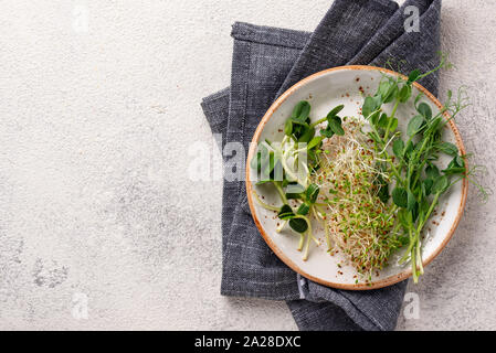 Varietà fresche micro germogli verdi Foto Stock