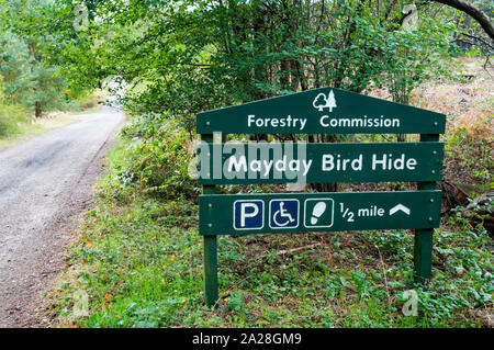 Una commissione forestale segno per la Mayday Bird Nascondi accanto a via a Thetford Forest. Con le icone per il parcheggio e accesso per sedie a rotelle e sentieri. Foto Stock