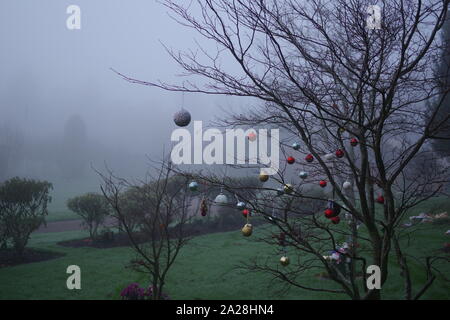 Baubles di Natale Decorare un piccolo albero sfrondato in un giardino di rose in una nebbiosa inverni di giorno. Exeter Devon, Regno Unito. Foto Stock