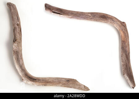 Pezzi di legno di drift isolato su uno sfondo bianco Foto Stock