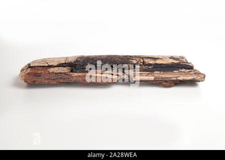 Pezzi di legno di drift isolato su uno sfondo bianco Foto Stock