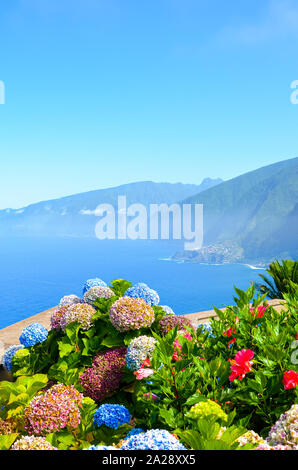 Colorati fiori di ortensie e la bellissima costa del nord dell'isola di Madeira, Portogallo. Hortensia tipico fiore. Incredibile costa da Ribeira da Janela. Oceano atlantico paesaggio. Haze in background. Foto Stock