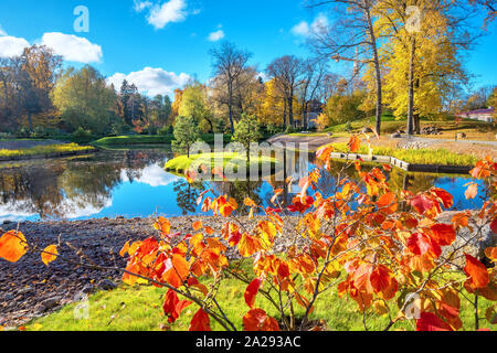 Paesaggio con giardino giapponese di pietre a Kadriorg park in autunno dorato. Tallinn, Estonia Foto Stock