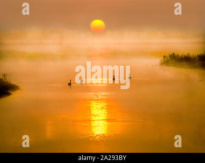 Golden sunrise sul fiume Foto Stock