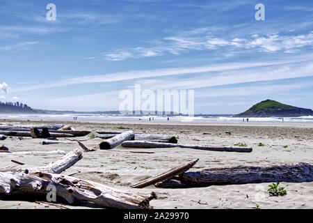 Un sacco di driftwood sulla costa dell'Oceano Pacifico, Vancouver Island Foto Stock