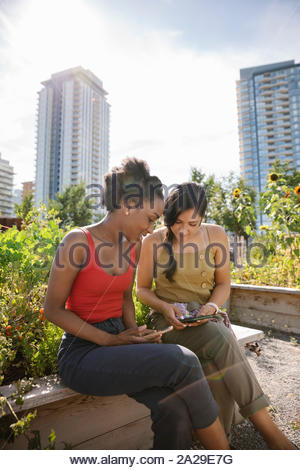 Giovani donne amici utilizzando i telefoni intelligenti nella soleggiata, urban comunità giardino