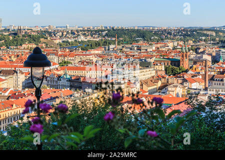 Vista con cespugli e viola con strada lampada Petrin Hill su edificio storico e il fiume Vltava dal quartiere Mala Strana di Praga in una giornata di sole Foto Stock